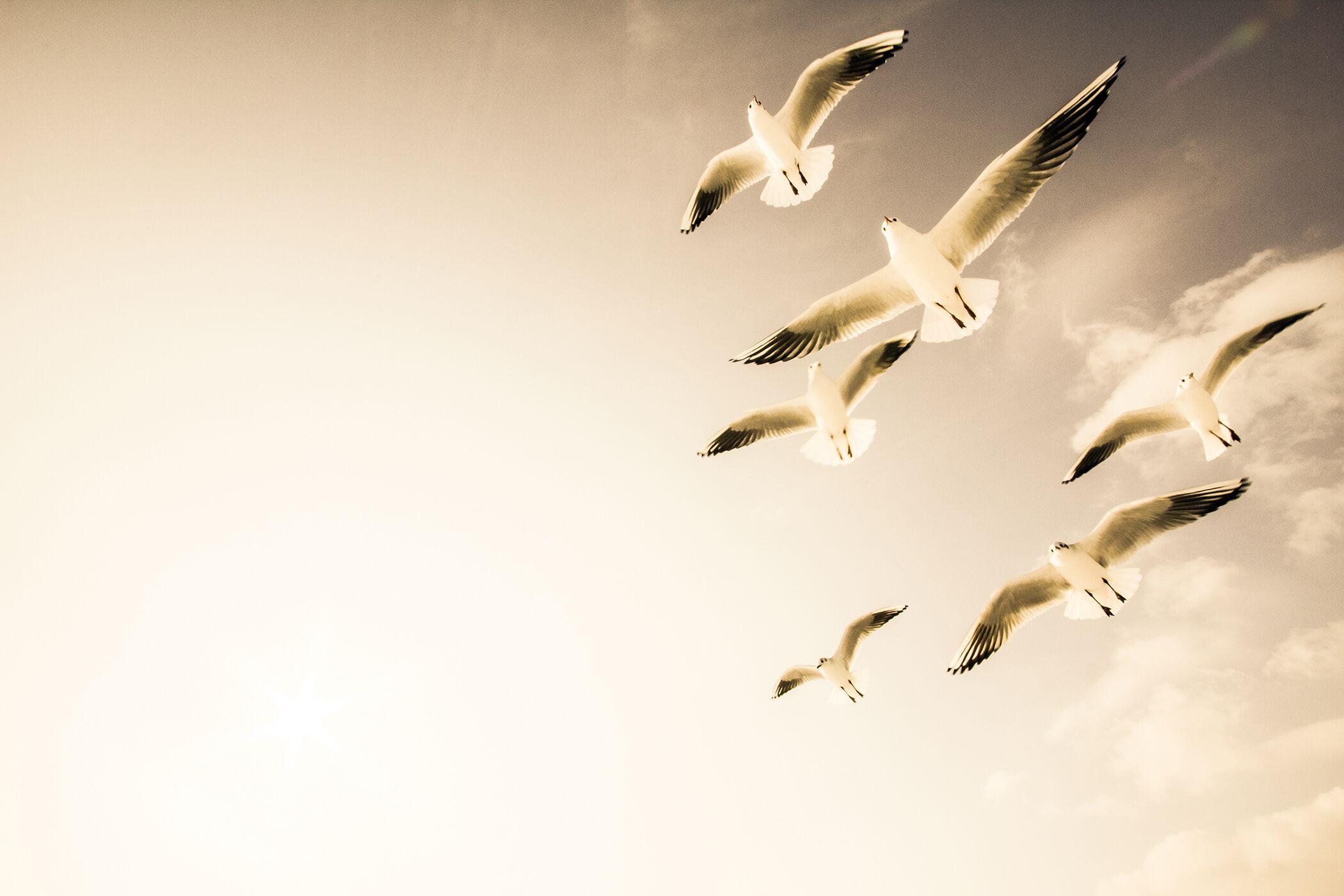 Dock Warnemünde * Rostock